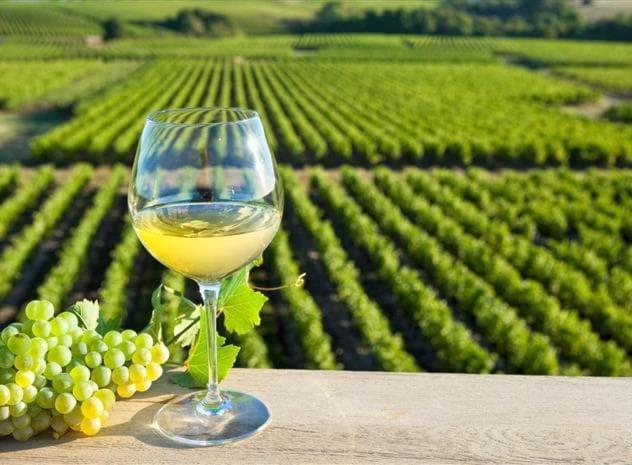 Villa Dépendance chaleureuse dans le vignoble nantais La Haie-Fouassiere Exterior foto